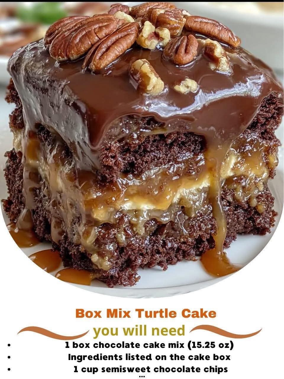 Box Mix Turtle Cake FB_IMG_1764389077987