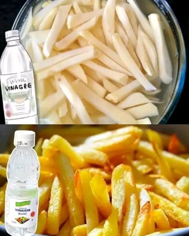 The Vinegar Tip 1764656432950